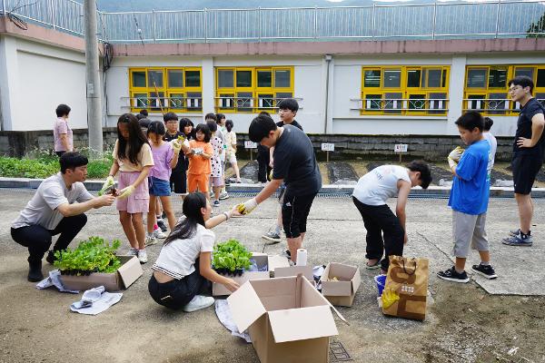 학교 텃밭 작물 심기